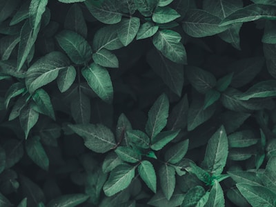 VPS建站选购的一点心得